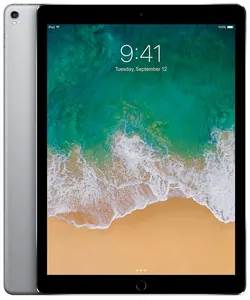 Ремонт iPad Pro 12.9' (2015) в Ростове-на-Дону